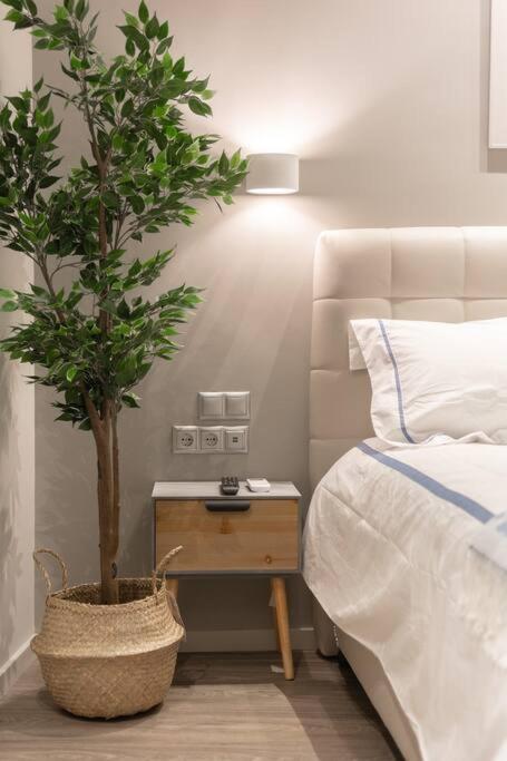 A11 Pristine & Comfy Studio Near Plaka & Parthenon Athen Eksteriør billede