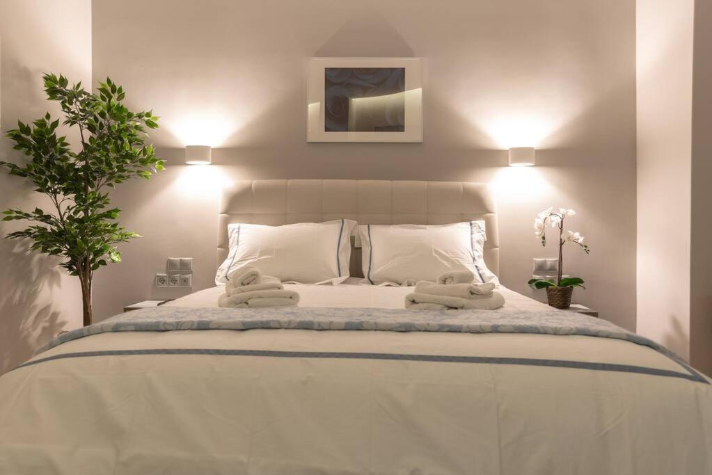 A11 Pristine & Comfy Studio Near Plaka & Parthenon Athen Eksteriør billede